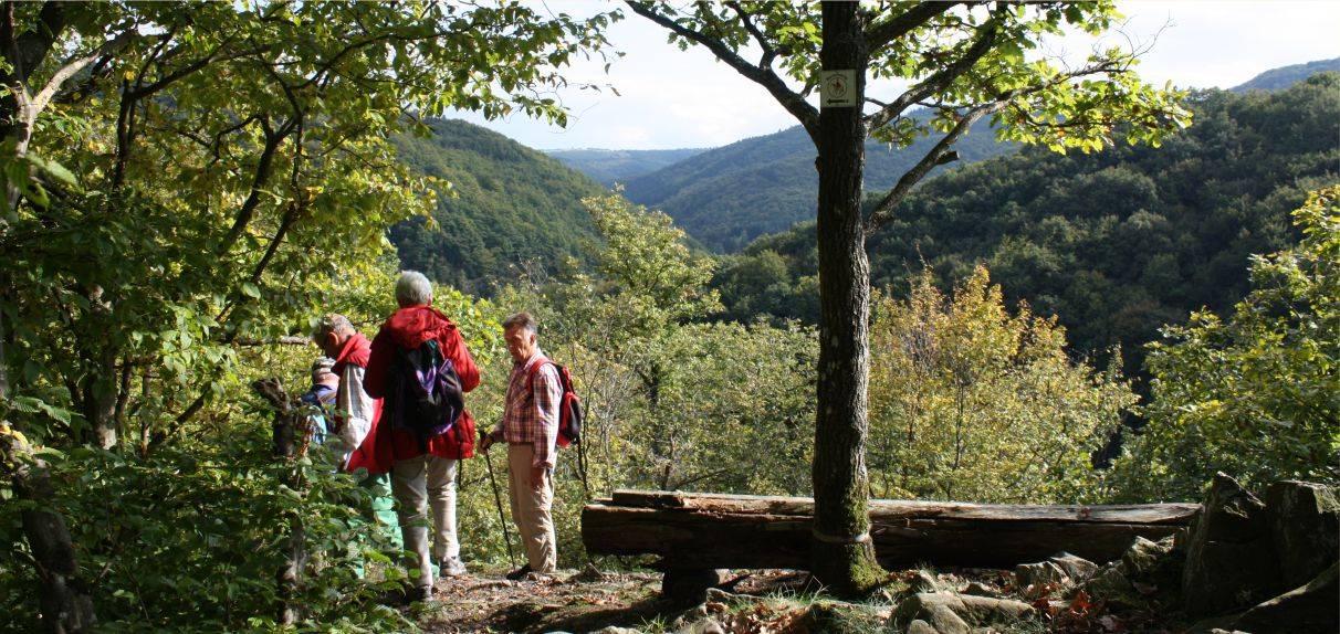 Wanderung anzeigen