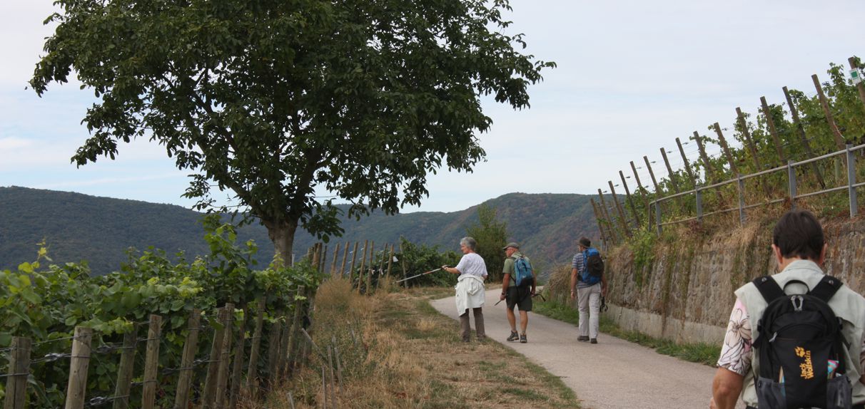 Herbstwanderung 2018